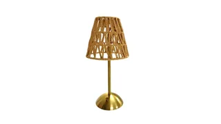 Cordless Table Lamp 13in