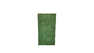 Hedge Wall 4x8