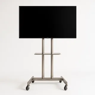 Mobile TV Stand