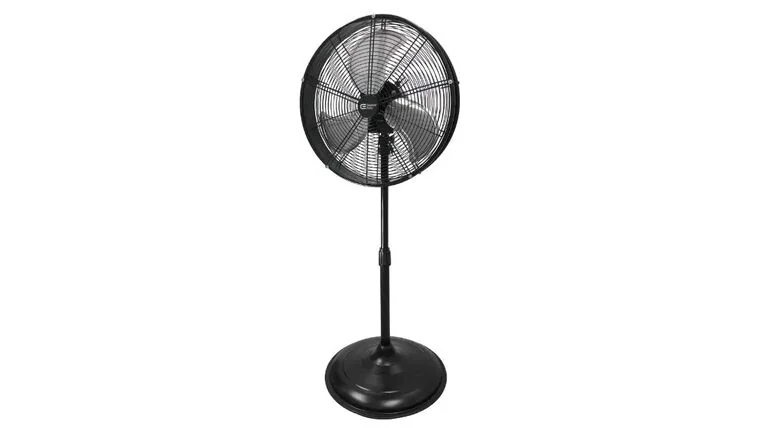Pedestal Fan 20in